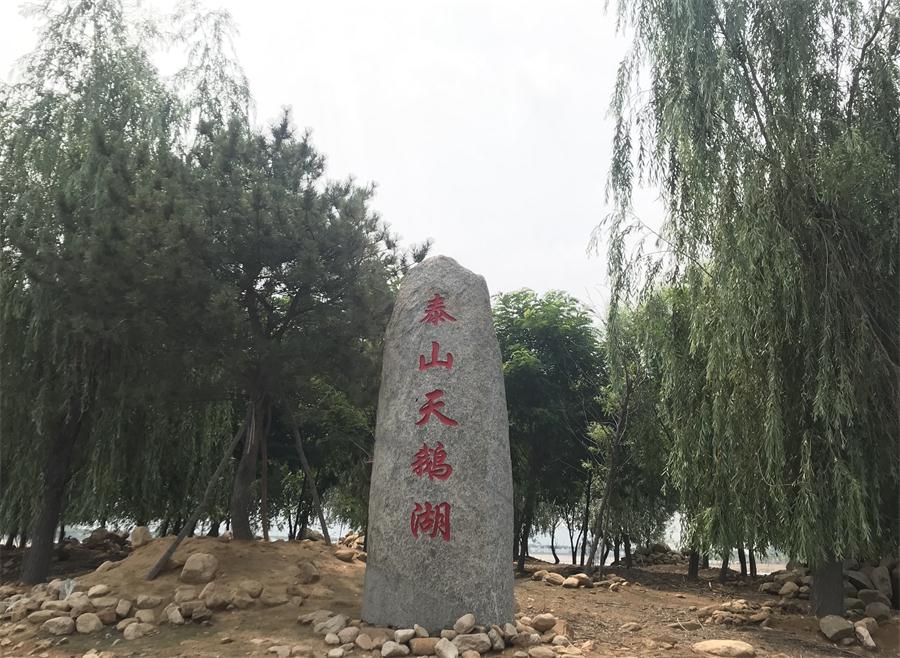 天鵝湖風(fēng)景區(qū)（泰山）速覽！(圖12)