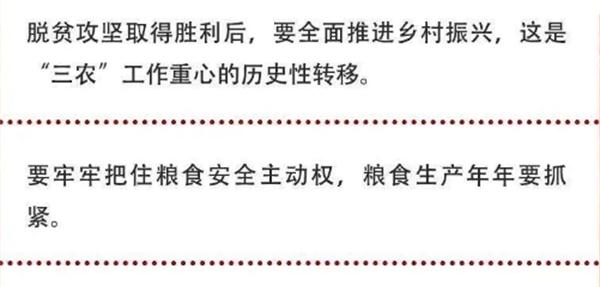 2020年中央農(nóng)村工作會議精神速覽！(圖2)