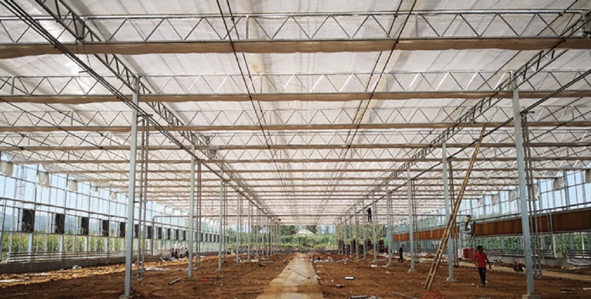 信橋鋼構(gòu)：打卡蒙陰農(nóng)業(yè)溫室大棚、青州黑牛養(yǎng)殖基地！(圖3)